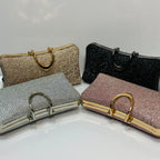 Glittery hard case clutch bag for women for weddings and evening parties