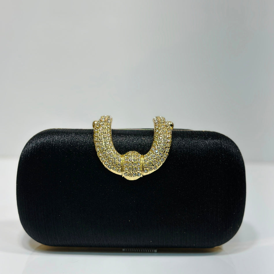 Luxury women's party clutch with embellished top handle
